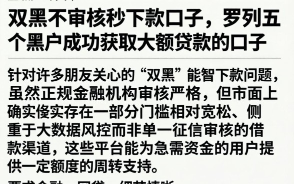 双黑不审核秒下款口子，罗列五个黑户成功获取大额贷款的口子