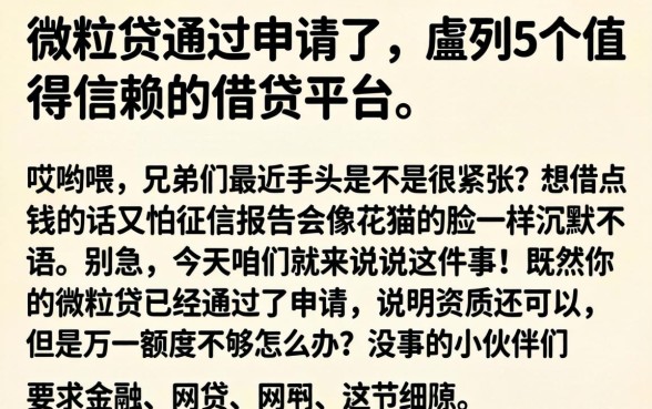 微粒贷通过申请了,胪列5个值得信赖的借贷平台