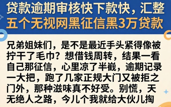 贷款逾期审核快下款快，汇整五个无视网黑征信黑3万贷款