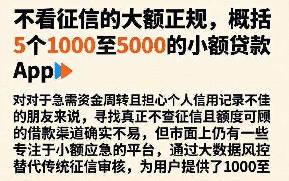 不看征信的大额正规，概括5个1000至5000的小额贷款app