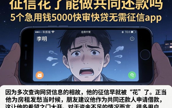 征信花了能做共同还款吗，详细阐述5个急用钱5000快审快贷无需征信app