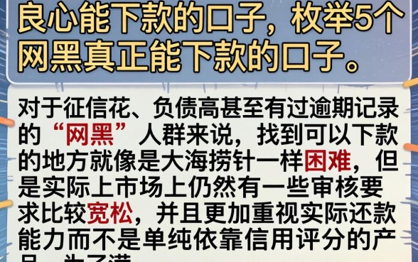 良心能下款的口子,枚举5个网黑真正能下款的口子