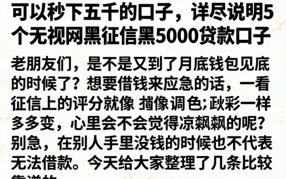 可以秒下五千的口子，详尽说明5个无视网黑征信黑5000贷款口子