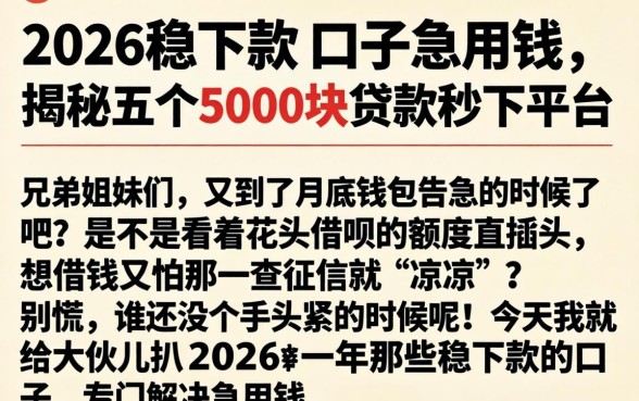 2026稳下款的口子急用钱，揭秘五个5000块贷款秒下平台