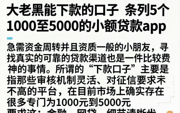 大老黑能下款的口子，条列5个1000至5000的小额贷款app