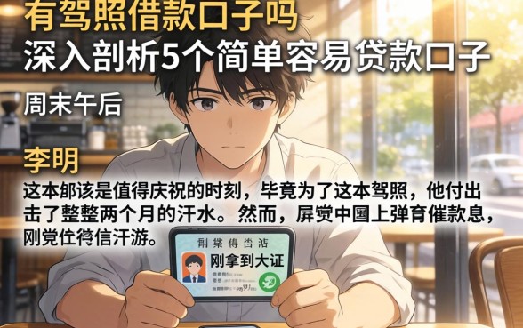 有驾照借款的口子吗，深入剖析5个简单容易贷款口子