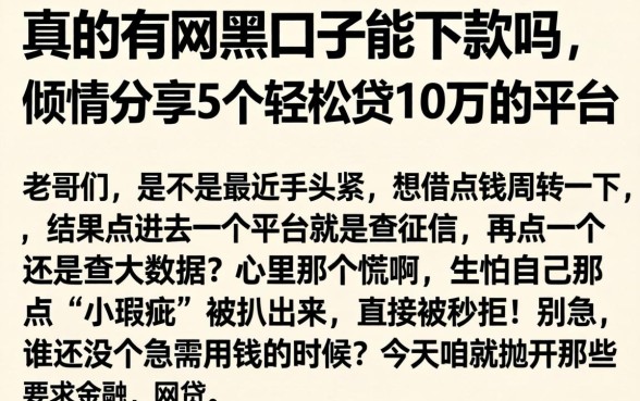 真的有网黑口子能下款吗，倾情分享5个轻松贷10万的平台
