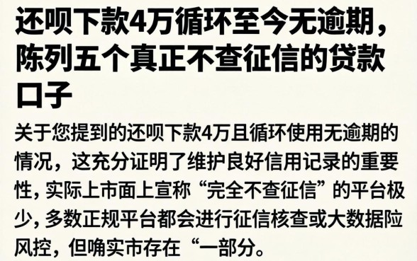 还呗下款4万循环至今无逾期，陈列五个真正不查征信的贷款口子