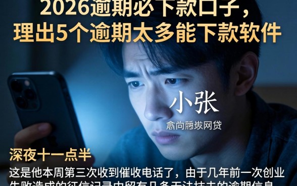 2026逾期必下款口子，理出5个逾期太多能下款软件
