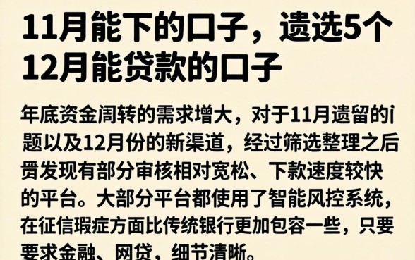 11月能下的口子，遴选5个12月能贷款的口子