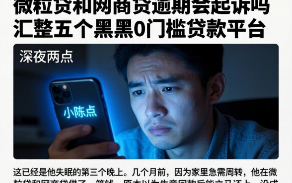 微粒贷和网商贷逾期会起诉吗,汇整五个黑户0门槛贷款平台