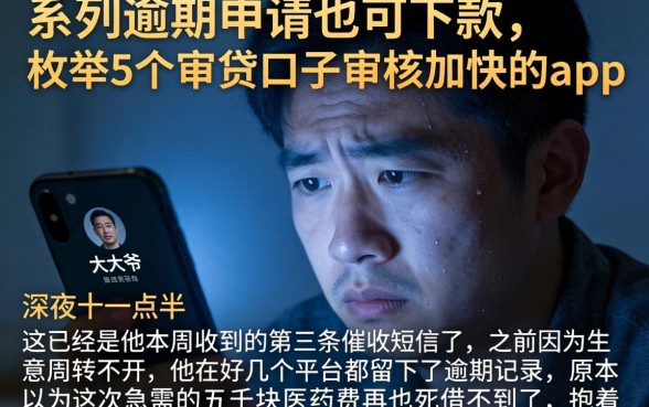 系列逾期申请也可下款，枚举5个审贷口子审核加快的app