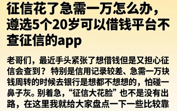 征信花了急需一万怎么办，遴选5个20岁可以借钱平台不查征信的app