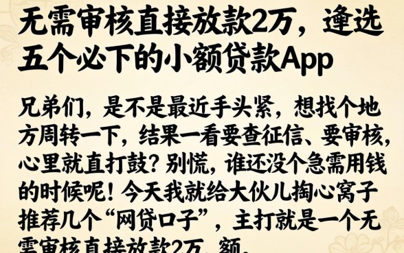 无需审核直接放款2万，遴选五个必下的小额贷款app