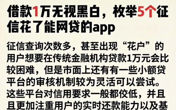 借款1万无视黑白，枚举5个征信花了能网贷的app