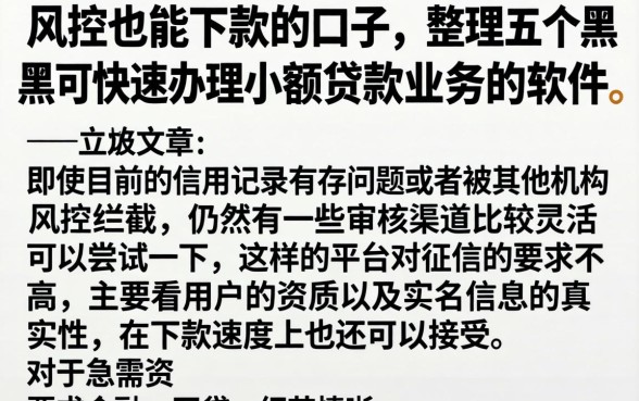 风控也能下款的口子，整理五个黑户可快速办理小额贷款业务的软件