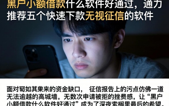 黑户小额借款什么软件好通过，鼎力推荐五个快速下款无视征信的软件