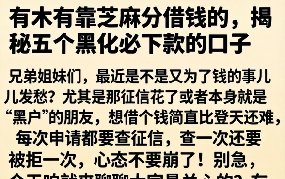 有木有靠芝麻分借钱的，揭秘五个黑户必下款的口子