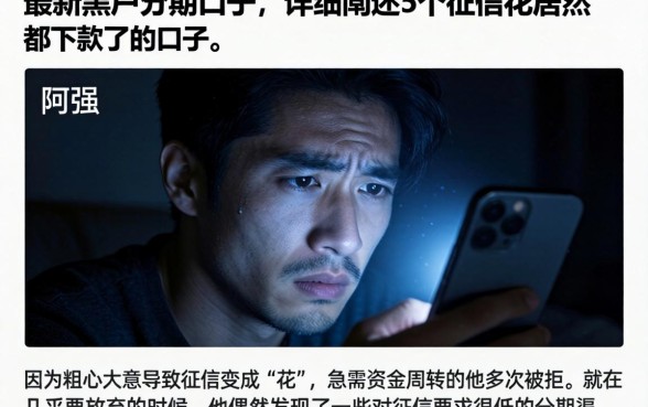 最新黑户分期口子，详细阐述5个征信花居然都下款了的口子