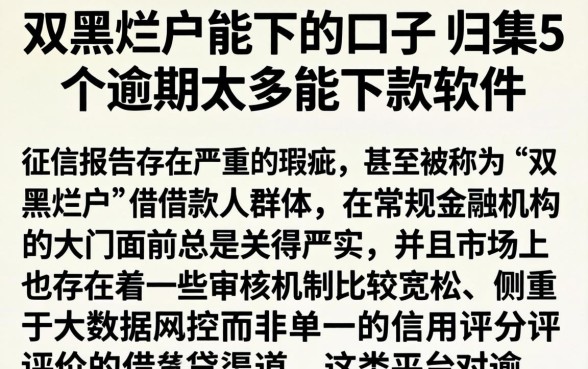 双黑烂户能下的口子，归集5个逾期太多能下款软件