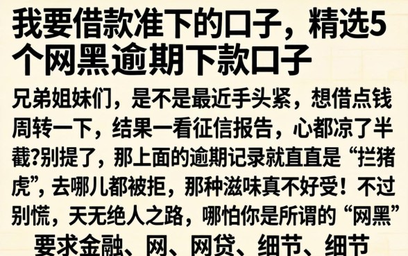 我要借款准下的口子，精选5个网黑逾期下款口子