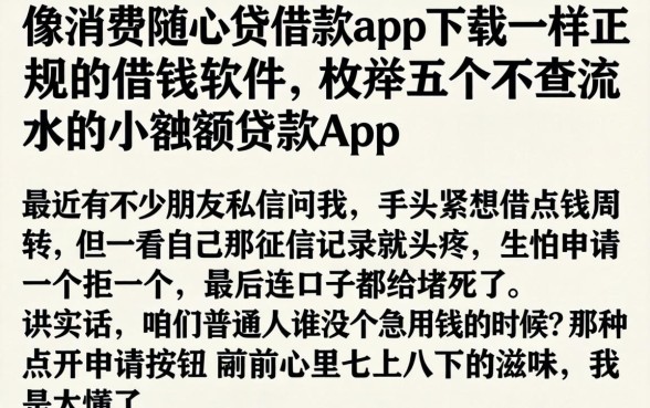 像消费随心贷借款app下载一样正规的借钱软件，枚举五个不查流水的小额度贷款app