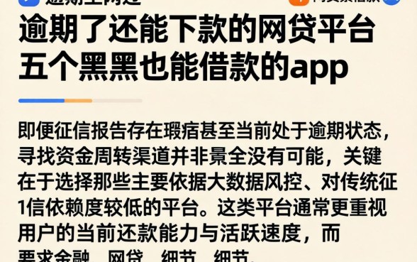 逾期了还能下款的网贷平台，详细阐述五个黑户也能借款的app
