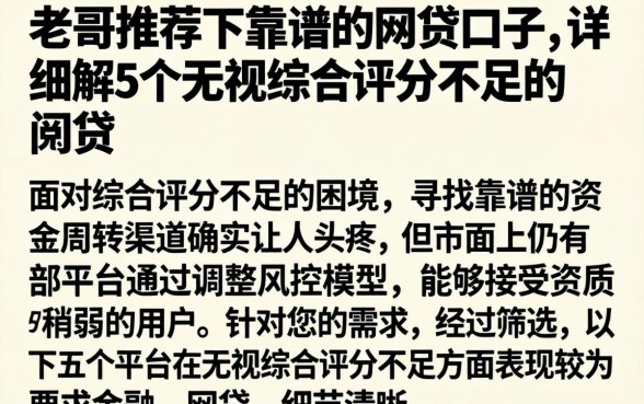 老哥推荐下靠谱的网贷口子，详细阐述5个无视综合评分不足的网贷