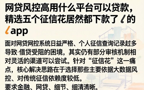 网贷风控高用什么平台可以贷款，精选五个征信花居然都下款了的app