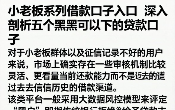 小老板系列借款口子入口，深入剖析五个黑户可以下的贷款口子