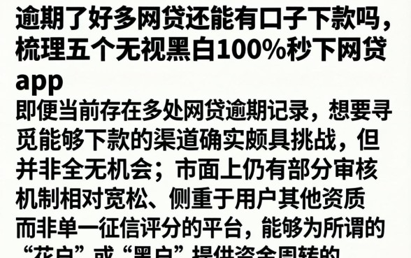 逾期了好多网贷还能有口子下款吗，梳理五个无视黑白100%秒下网贷app