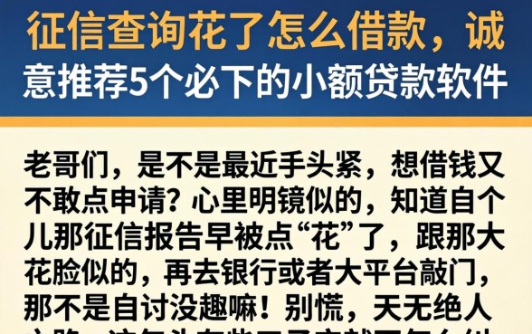 征信查询花了怎么借款,诚意推荐5个必下的小额贷款软件