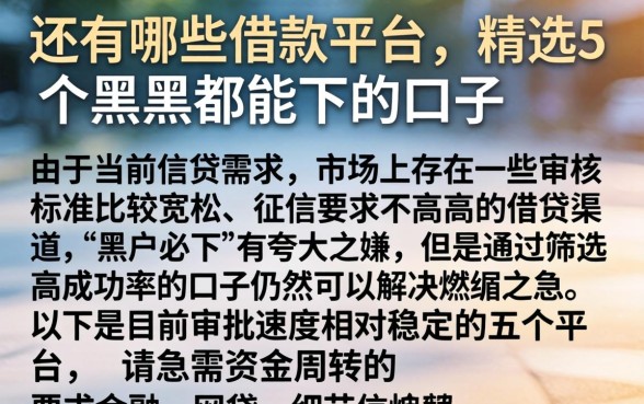 还有哪些借款平台，精选5个黑户都能下的口子