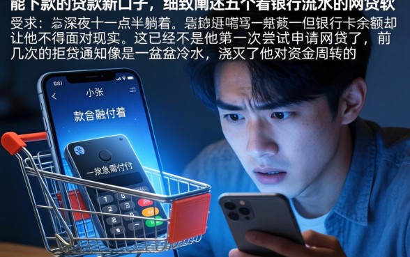 能下款的贷款新口子，细致阐述五个看银行流水的网贷软件