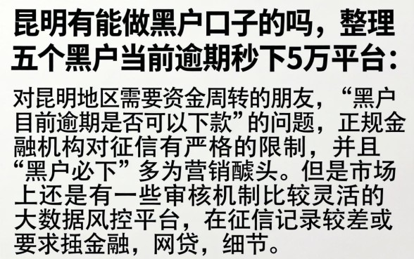 昆明有能做黑户口子的吗，整理五个黑户当前逾期秒下5万平台