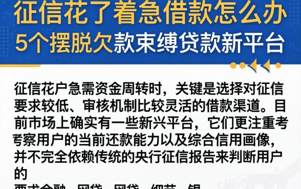 征信花了着急借款怎么办，陈列5个摆脱欠款束缚贷款新平台