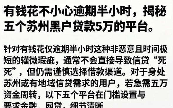 有钱花不小心逾期半小时，揭秘五个苏州黑户贷款5万的平台