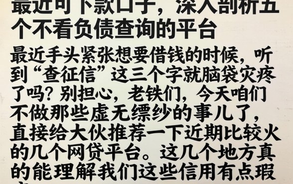 最近可下款的口子，深入剖析五个不看负债查询的平台