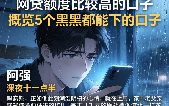 网贷额度比较高的口子,概览5个黑户都能下的口子