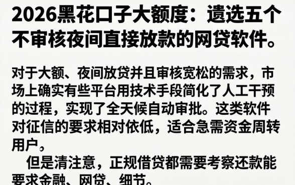 2026黑花口子大额度，遴选五个不审核夜间直接放款的网贷软件