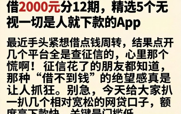 借2000元分12期，精选5个无视一切是人就下款的app