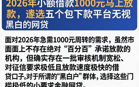 2026年小额借款1000元马上放款，遴选五个包下款平台无视黑白的网贷