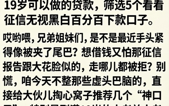 19岁可以做的贷款，筛选5个不看征信无视黑白百分百下款口子