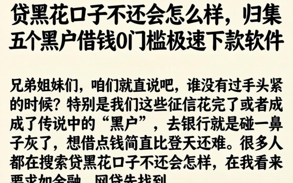 贷黑花口子不还会怎么样，归集五个黑户借钱0门槛极速下款软件
