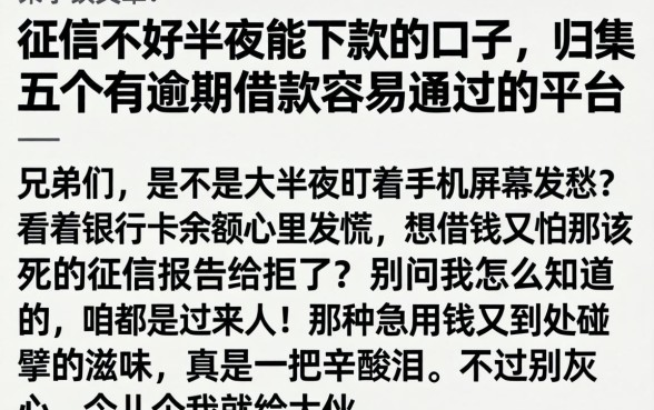征信不好半夜能下款的口子，归集五个有逾期借款容易通过的平台