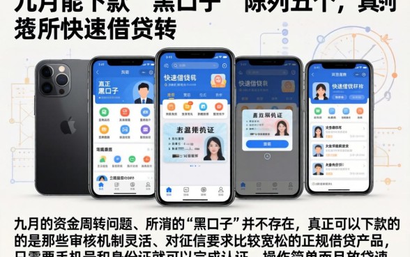 九月能下款的黑口子，陈列五个手机和身份证快速借钱软件