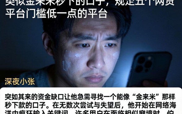 类似金来米秒下的口子，规整五个网贷平台门槛低一点的平台