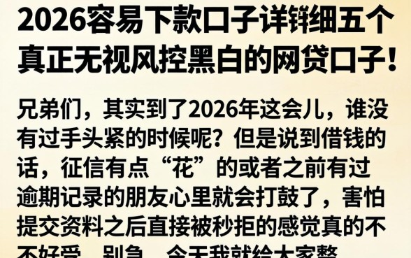 2026容易下款的口子，详细阐述五个真正无视风控黑白的网贷口子