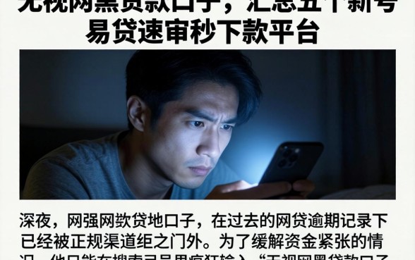 无视网黑贷款口子，汇总五个新号易贷速审秒下款平台