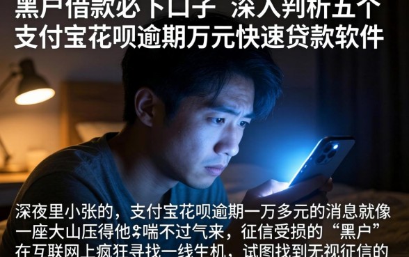 黑户借款必下口子，深入剖析五个支付宝花呗逾期万元快速贷款软件